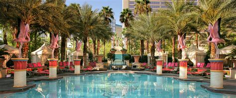 flamingo lv pool|flamingo las vegas pool prices.